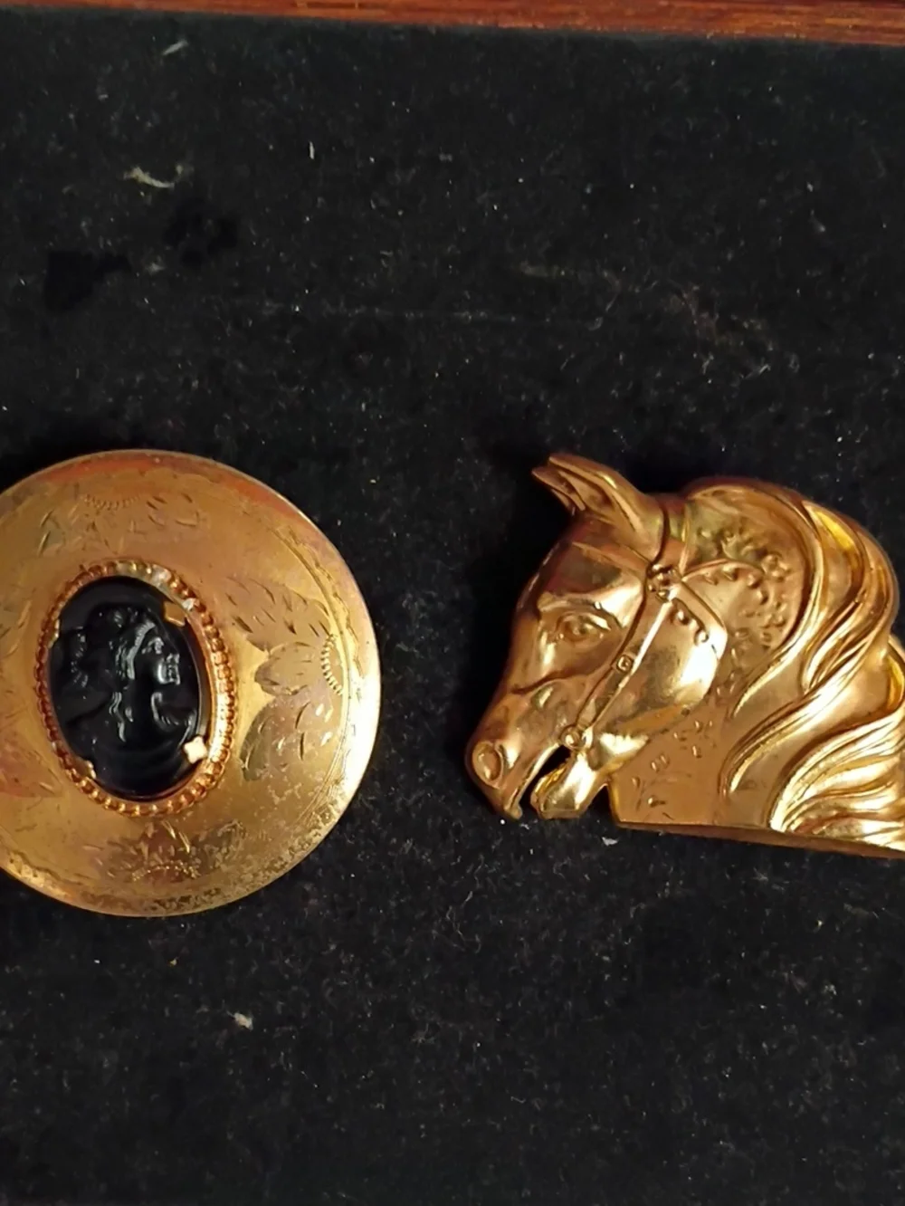 Gold-Tone Horse Head & Cameo Brooch Set - Women’s Jewelry